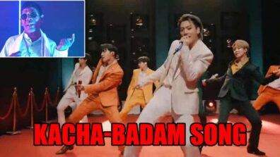 BTS X has come up with Kacha-Badam song, check below