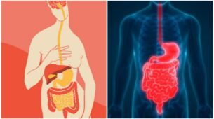 The Tough Journey To A Clear Brain And Healthy Stomach, Now Made Simpler! Check It Out