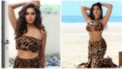 [Fashion Poll] Nora Fatehi Or Aamna Sharif: Who Rocked This Leopard Print Ensemble Better?