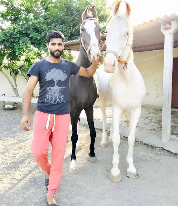 From Ravindra Jadeja To Ricky Ponting: Cricketers Who Love Horse Riding - 1