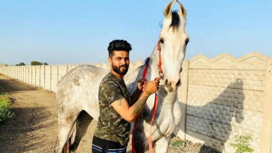 From Ravindra Jadeja To Ricky Ponting: Cricketers Who Love Horse Riding - 3