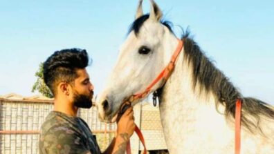 From Ravindra Jadeja To Ricky Ponting: Cricketers Who Love Horse Riding