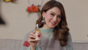 Hansika Motwani reveals special beauty secret hacks, check ASAP