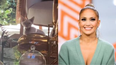 Have You Seen Jennifer Lopez’s Pet Yet? Checkout