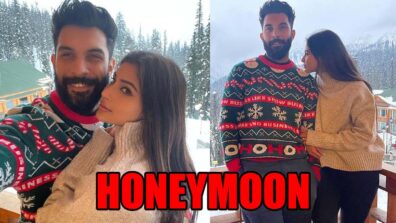 Honeymoon Diaries: Mouni Roy shares ROMANTIC photos with husband Suraj Nambiar from their honeymoon