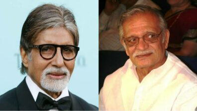 Why Did Amitabh Bachchan Never Work With Gulzar?