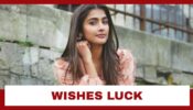 “I Wish Them The Best Of Luck,” Pooja Hegde Responds As Her Successful Film Will Be Remade With Kartik Aaryan And Kriti Sanon In Lead Roles