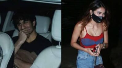 “Ibrahim Ali Khan Was Not Very Impressed”, Is This The End Of Road For Ibrahim Ali Khan & Palak Tiwari?