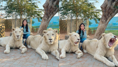 Khatron Ke Khiladi: Nora Fatehi poses with two dangerous lions, fans stunned seeing her bravery