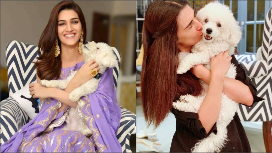 Kriti Sanon’s “Munchkin”: Have You Met Him? Dog Moms Will Agree, Take A Look - 1