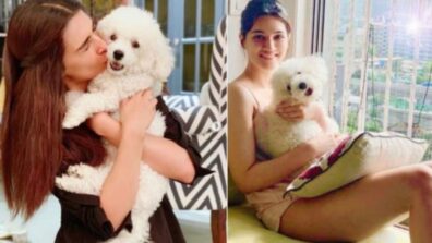 Kriti Sanon’s “Munchkin”: Have You Met Him? Dog Moms Will Agree, Take A Look