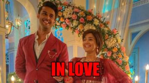 Meet spoiler alert: Meet Hooda falls in love with Meet Ahlawat