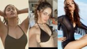 Janhvi Kapoor, Alia Bhatt Or Ananya Panday? Who Do You Think Slew In A Black Bikini