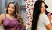Monalisa In Saree Or Monalisa In Shorts, Which Look Of The Bhojpuri Actress Is Your Favourite? See Pics