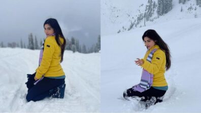 Mouni Roy shares special unseen snaps from Kashmir honeymoon diaries, fans get ‘vacay goals’