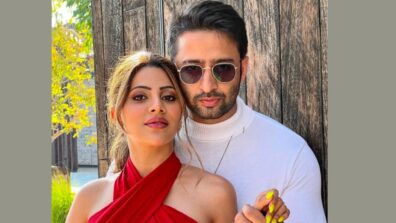 Oops Moment: Nikki Tamboli all set to get romantic with Shaheer Sheikh, deets inside