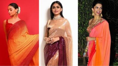 From Alia Bhatt to Mrunal Thakur and Deepika Padukone: Divas who love to wear shaded sequin sarees