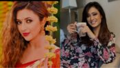 Old Is Gold: Khatron Ke Khiladi actresses Divyanka Tripathi and Shweta Tiwari roll back the clock, will leave you sweating for real