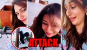 Omg! Divyanka Tripathi Gets Attacked, Watch Video
