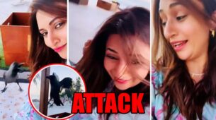 Omg! Divyanka Tripathi Gets Attacked, Watch Video
