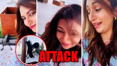 Omg! Divyanka Tripathi Gets Attacked, Watch Video