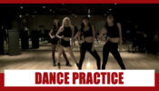 Proof That Blackpink Members Give Their Best, Watch Video Of Their Pre Debut Dance Practice