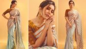 Raashii Khanna’s Elegant Saree Look That Made Us Go Crushing Over Her
