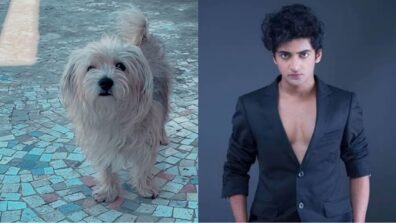 RadhaKrishn fame Sumedh Mudgalkar introduces his beautiful companion to the world, check out