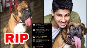 RIP: Sidharth Malhotra’s dog Oscar passes away, Anushka Sharma, Sonakshi Sinha, Jacqueline Fernandez, Tiger Shroff and Ananya Panday offer condolences