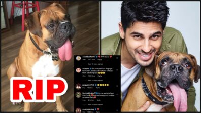 RIP: Sidharth Malhotra’s dog Oscar passes away, Anushka Sharma, Sonakshi Sinha, Jacqueline Fernandez, Tiger Shroff and Ananya Panday offer condolences