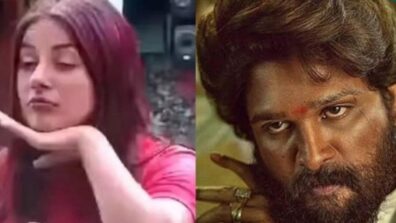 Scoop: Was Allu Arjun’s signature ‘Pushpa’ step inspired from Bigg Boss sensation Shehnaaz Gill? THIS video is proof