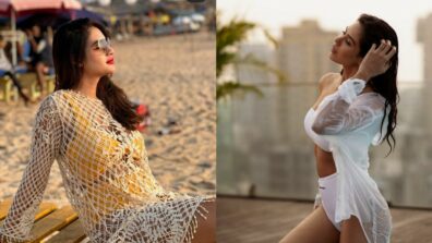 Sensuality Queens: Times when Bengali beauty Nusrat Jahan and Punjabi diva Sonam Bajwa raised eyebrows in swimwears