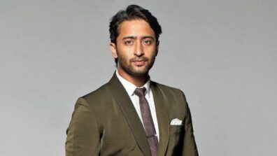 Shaheer Sheikh Opens Up On Being Out Of Sight For Few Years: Says, ‘That Didn’t Do Any Damage To Me’