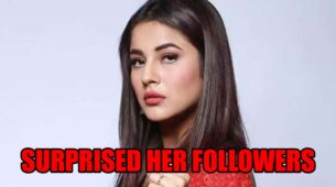 Shehnaaz Gill Surprised Her Followers By Participating In A Live Discussion On Twitter! Also, Take A Look At Why #Lovelikeshehnaaz Is Trending On Twitter