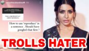 Should Have Googled That First: Samantha Ruth Prabhu lashes out at hater who attempted to troll her