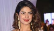 Throwback To When Priyanka Chopra Gave A Savage Response To A Reporter