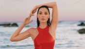 Gal Gadot’s Personal Life, Her Net Worth And More, Tap To Look