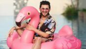 Throwback To CarryMinati’s Vacation Picture On Flamingo Floaties!