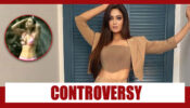 Throwback To When Shweta Tiwari’s Bikini Bathing On Television Became A Huge Controversy, WATCH VIDEO