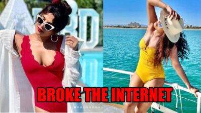 Times When Priyanka Chopra Broke The Internet In Swimsuit