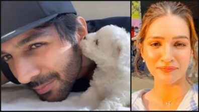 Too Cute To Handle: Kartik Aaryan gets playful with new puppy ‘Katori’, Kriti Sanon drops cute response