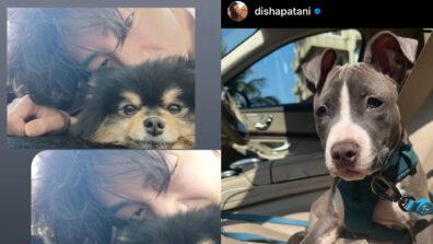 Trending: BTS member V shares cute snap with pet dog, Bollywood actress Disha Patani shares pic with her pet saying ‘chi chi’