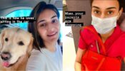 Unbelievable: Kasauti Zindagii Kay actress Erica Fernandes turns ‘driver and coolie’ in real life, what’s wrong?