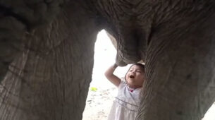 Watch: A 3-Year-Old Toddler Playing With Their Domestic Elephant & Drinking Its Milk Has Went Viral