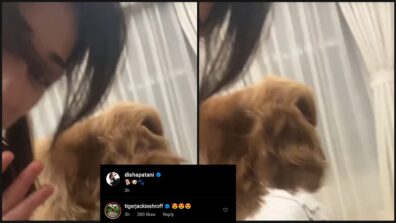 Watch: Disha Patani gets playful with cute pet dogs, rumoured BF Tiger Shroff is lovestruck