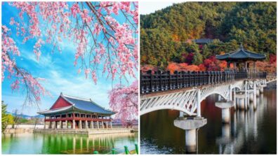 A Guide To South Korea, Places You Shouldn’t Be Missing, Have A Look