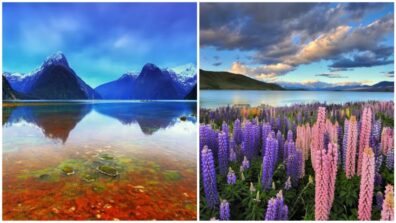 Plan On Budget, A Fun Trip To New Zealand, Take A Look