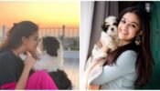 Throwback To ‘Missing My Favourite Shoot Companion,’ Keerthy Suresh Writes In A Sweet Tribute For Her Animal Pal Nyke