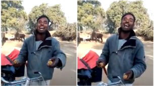 A Video Of A Laddu Seller Makes Netizens Crazy, Watch To Know Why