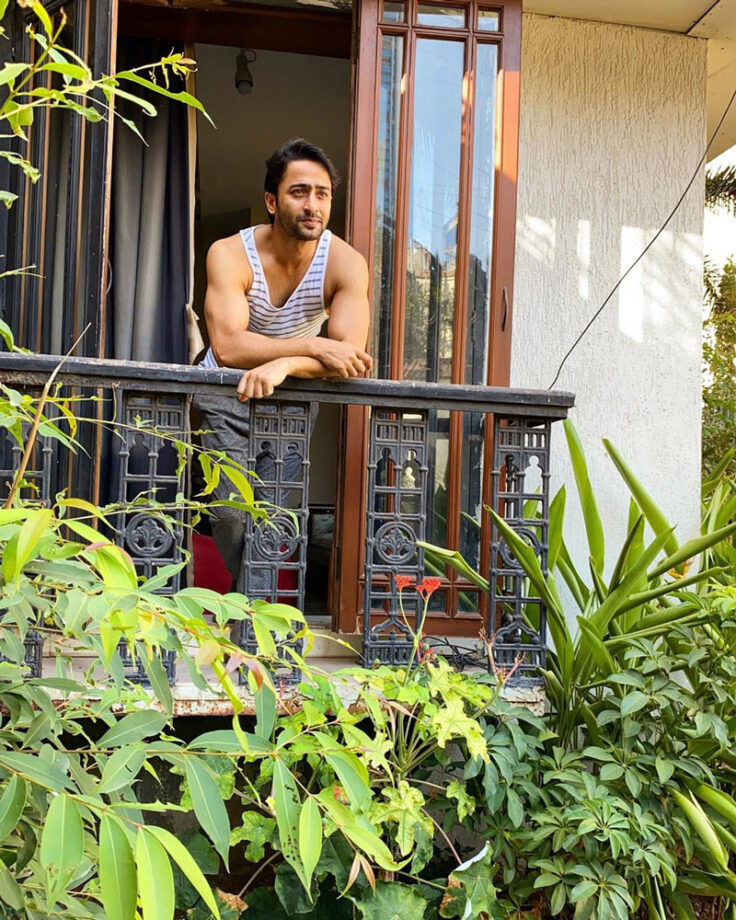 A Virtual Tour Into Shaheer Sheikh’s Lavish 6Cr Home - 2